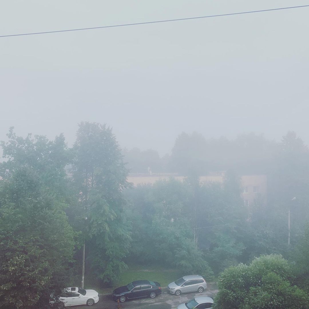 marinalapa в LOOKY — Утро встретило туманом...Всем, доброе утро!