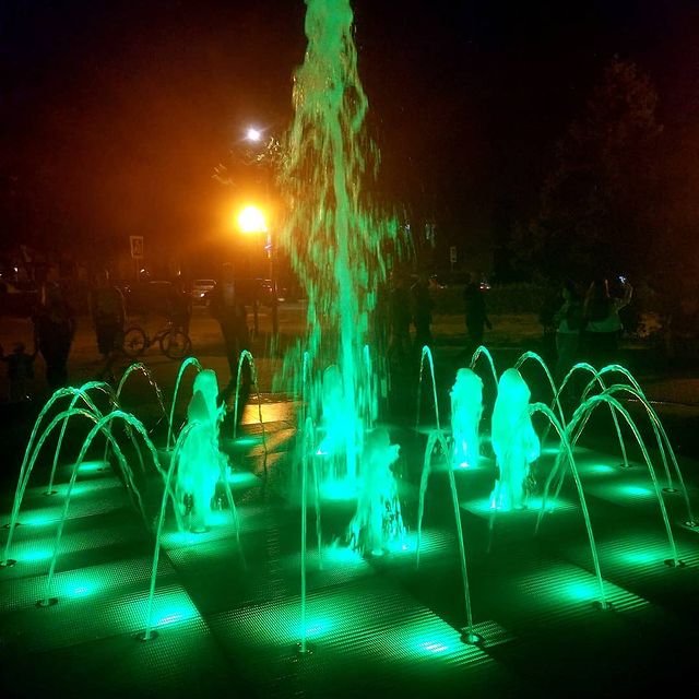 lid_max_somov в LOOKY. . null