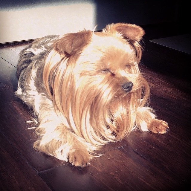 alisamoskow в LOOKY — фото 8