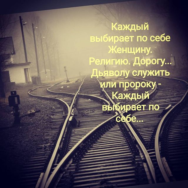 vlad59sem в LOOKY. . Каждый выбирает по с...