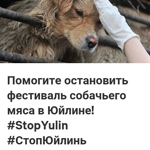 maeko_382 в LOOKY. #stopyulin,#подпишипетицию,#спасижизнь,#противнасилия,#loveourplanet,#savesomeoneslife. #stopyulin Помогите!...