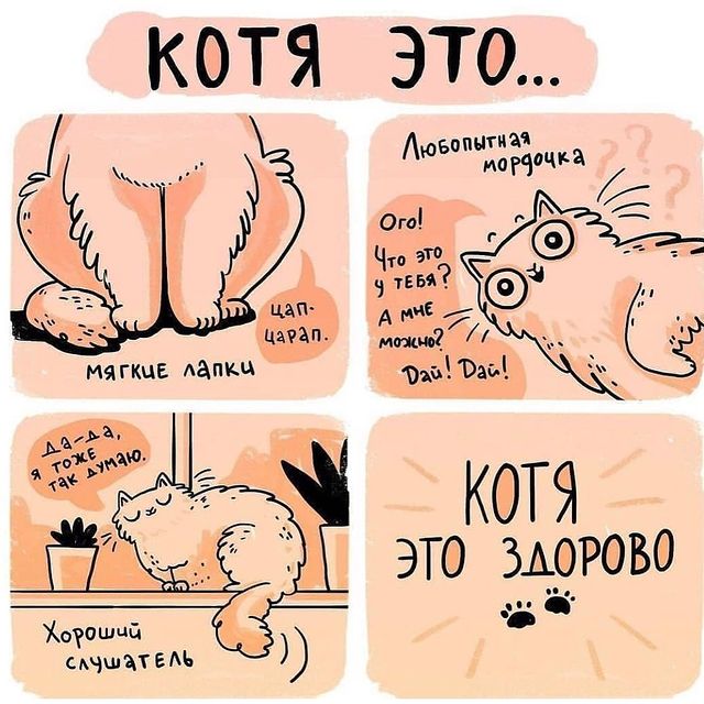 alfiya_23a в LOOKY. . Котя- это здорово 😍