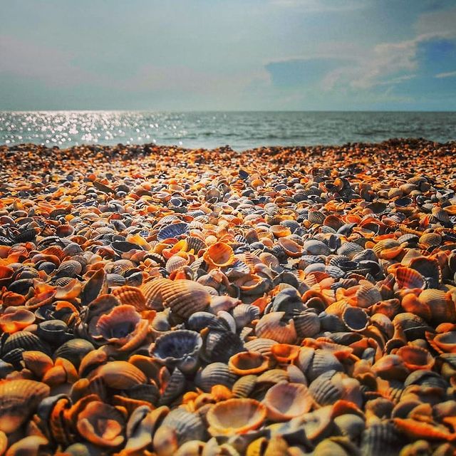deyterriy.re в LOOKY. . null