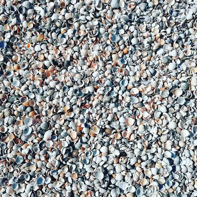 deyterriy.re в LOOKY. . null