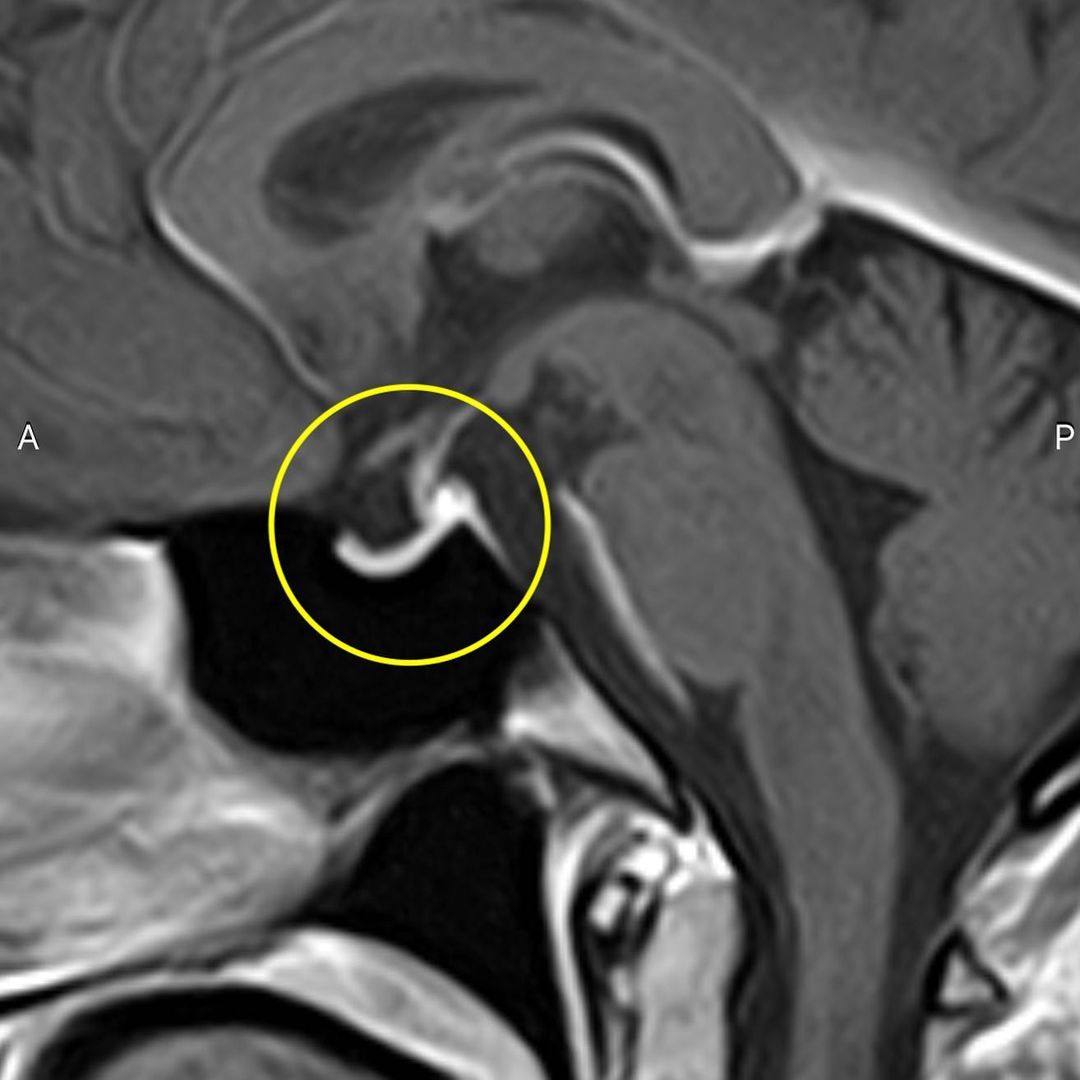 russianradiology в LOOKY — фото 4