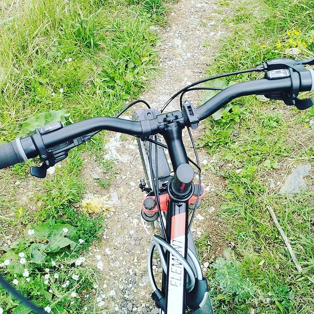 Ed_win_pro в LOOKY. #феникс,#lukmanov,#uchaly,#razvitie,#popular. #феникс #lukmanov #u...
