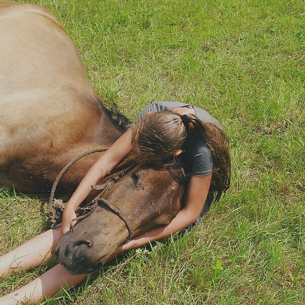 elizabeth_isk в LOOKY. #лошадинаясила,#люблю,#лошади🐴,#лошадь,#лошадьдругчеловека,#люблюлошадей,#лошадки,#лайктайм,#лайкивзаимно,#лайкивинстаграм,#конкур,#кони,#конныйспорт,#коноблог,#коноблогер_lh,#конник,#конныймир,#конныйспорт🏇,#коноблогер,#конюшня,#всадник,#верхом,#верховаяезда,#взаимныелайки,#взаимнаяподписка,#взаимно,#подписказаподписку,#подписка. Будь собой, остальны...