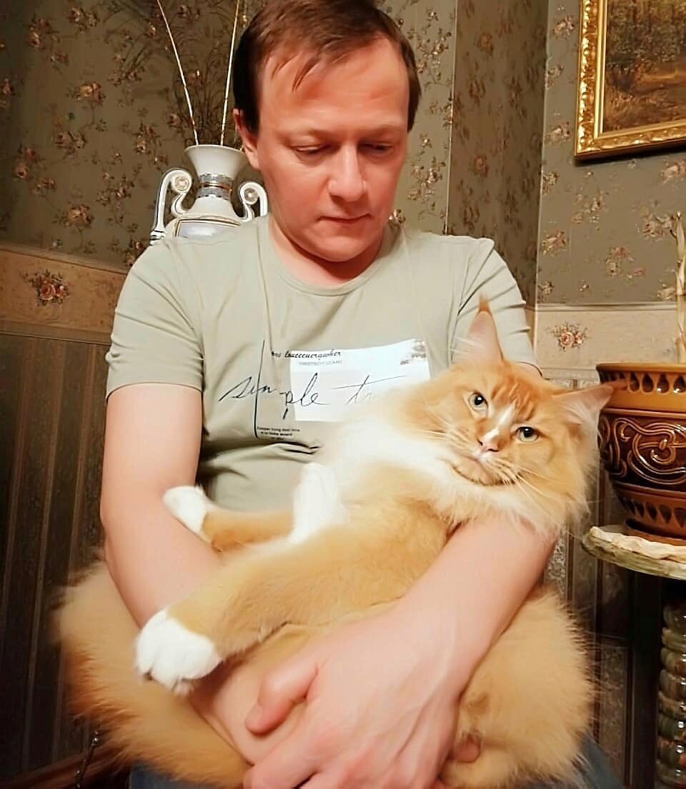 mycatgrooming в LOOKY — фото 3