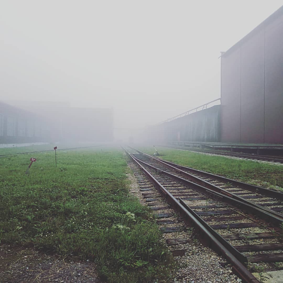 ida_latu в LOOKY — #Прекрасноеутро#туман#ничегоневидно"сдобрымутромдрузья