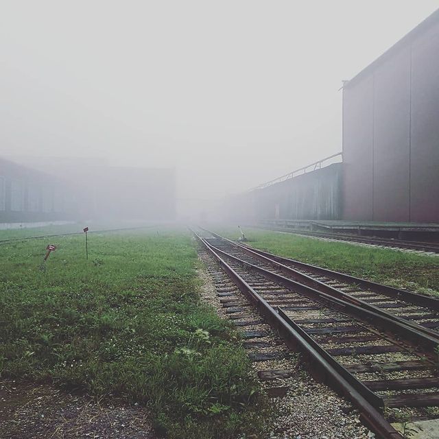 ida_latu в LOOKY. #Прекрасноеутро#туман#ничегоневидно"сдобрымутромдрузья. #Прекрасноеутро#тума...