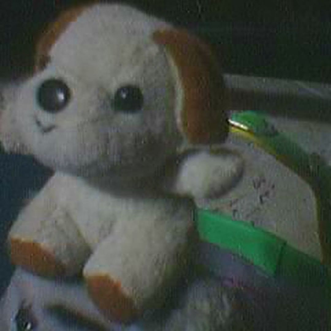 Rixardee в LOOKY — He kept his flowers and had many friends ...