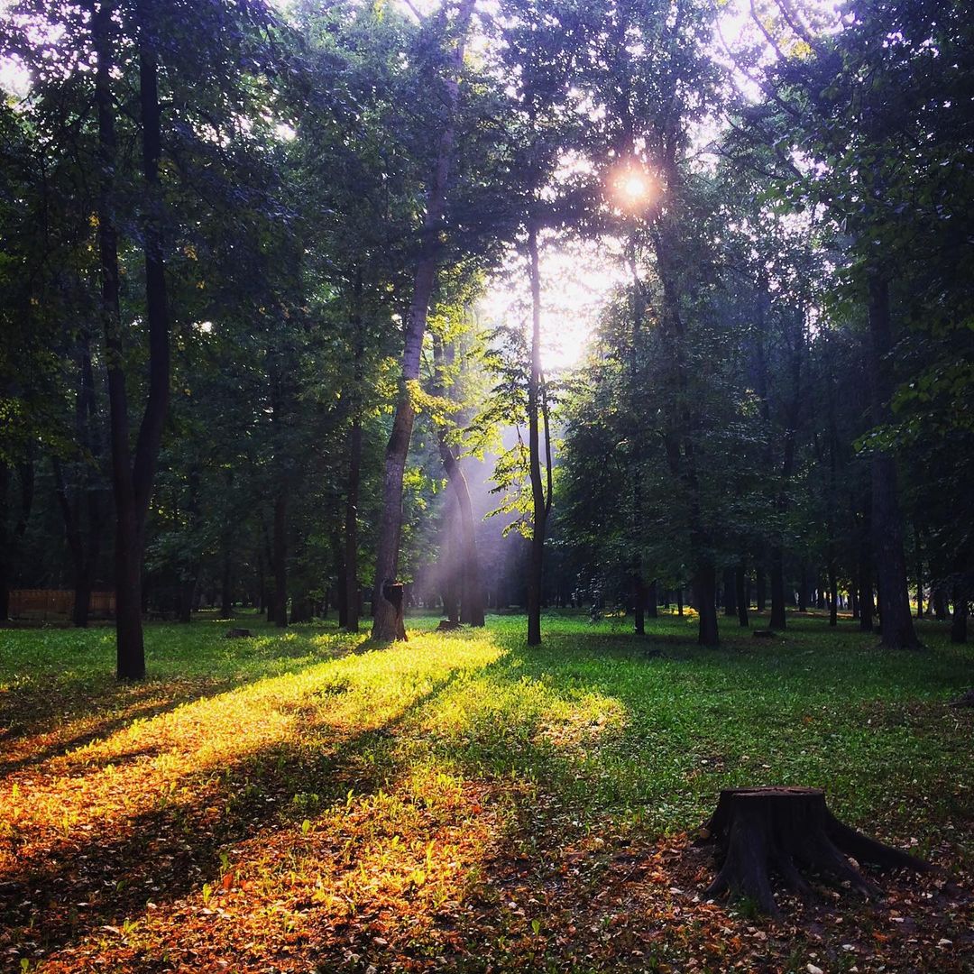 winterpersonage в LOOKY — У этой поляны есть какой-то квест для тебя #iphoneonly #natu