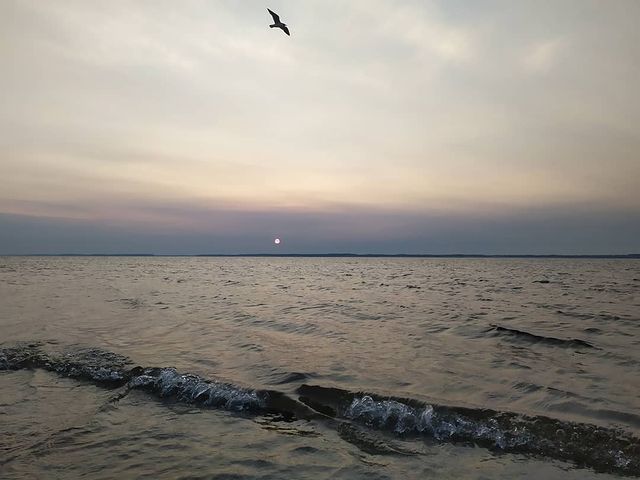 dulusmakarov в LOOKY. . null