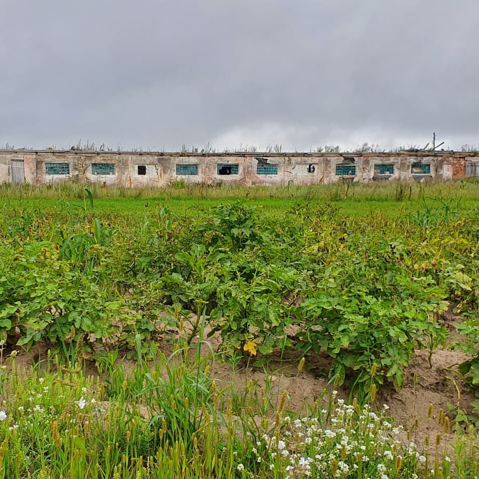 igorpris в LOOKY — фото 3