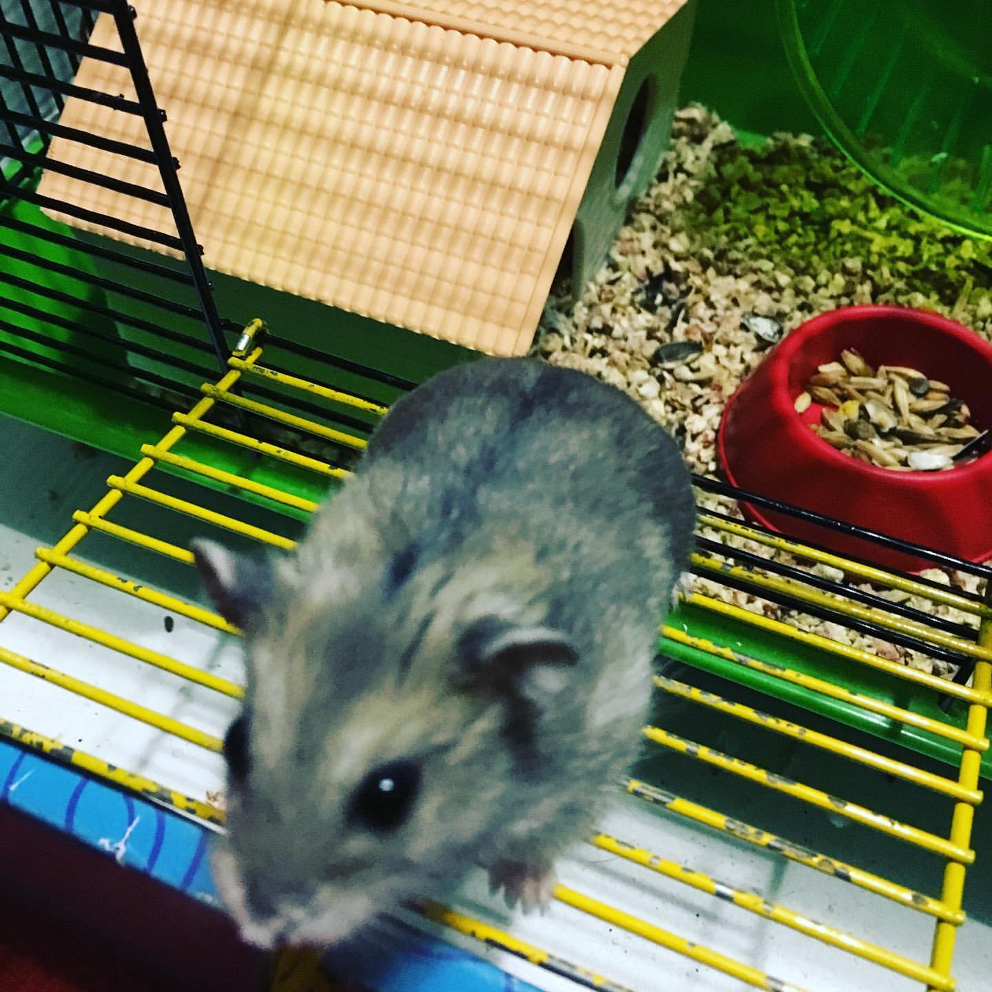 zolotareva7560 в LOOKY. . Милота)))🥰