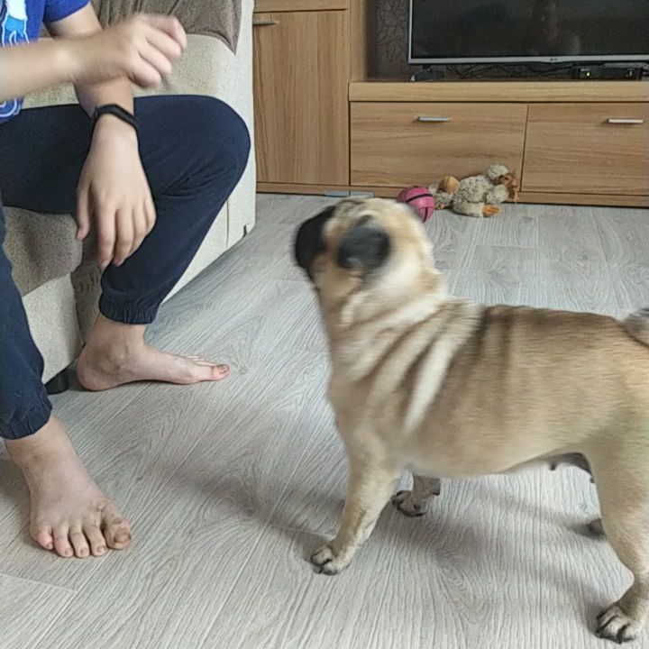 ko1eso in LOOKY. . Скоро начнем изучать...