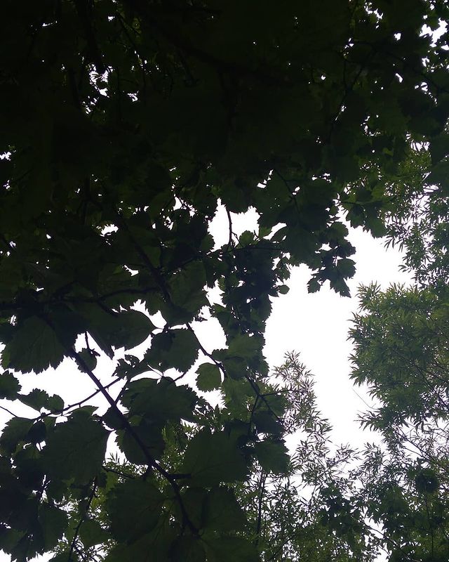 bubochca._._ в LOOKY. . 🌳