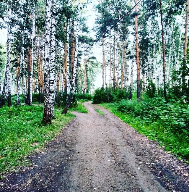 zhannaprosssto в LOOKY. #дорогуосилитидущий,#вчемсилабрат. Каждый идет своим пу...