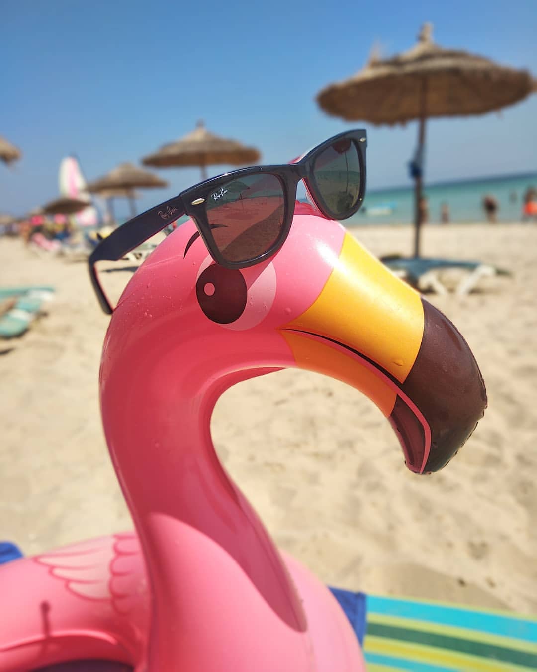 lexadeangelis в LOOKY. #caribbianworlddjerba. Нам было здесь очень...