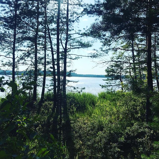 Maksim в LOOKY. #forest,#lake,#nature. #forest #lake #natur...