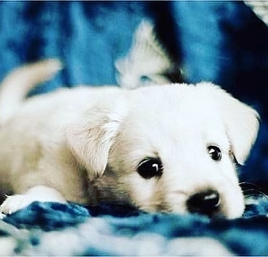 psychotherapy_krd в LOOKY. #светланаколмогорова,#краснодаронлайн,#психологкраснодар,#психологвкраснодаре,#краснодар,#крд,#крдонлайн,#краснодаронлайн,#psychotherapy_krd,#психологиявкраснодаре,#психологиякраснодар,#психотерапевтвкраснодаре,#психотерапевткраснодар. Гештальт-терапевты э...