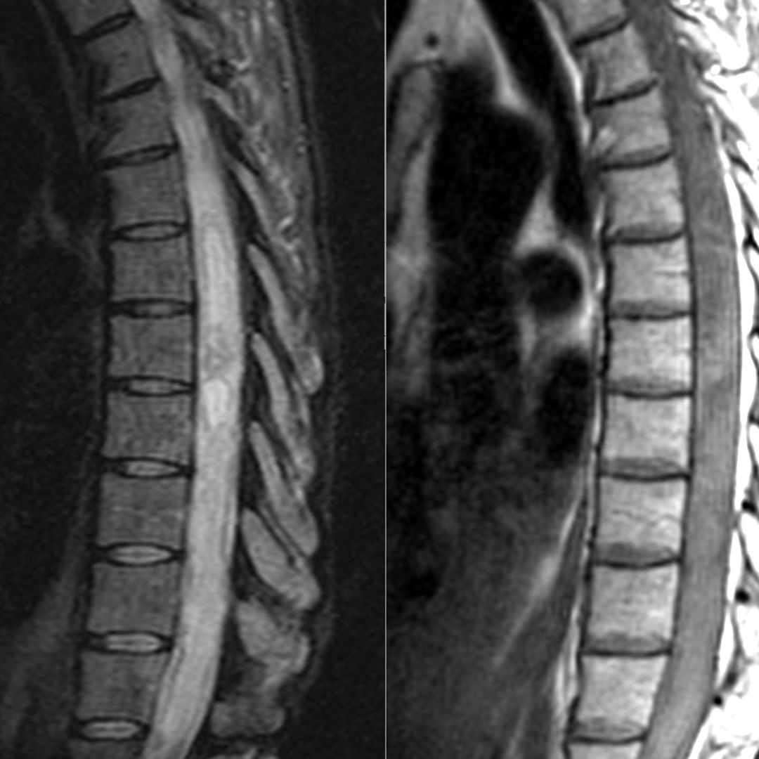 russianradiology в LOOKY — фото 3