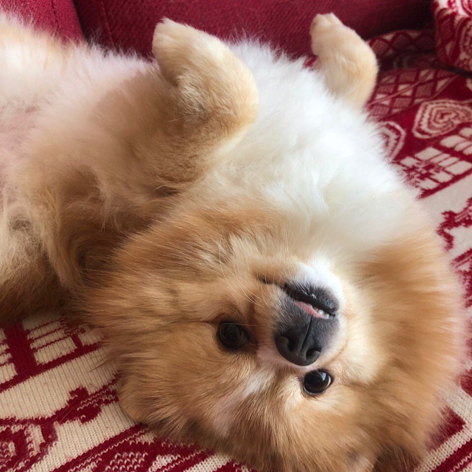 How are you? ☺️