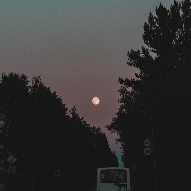 chud0_o в LOOKY. . Вот и лето уходит