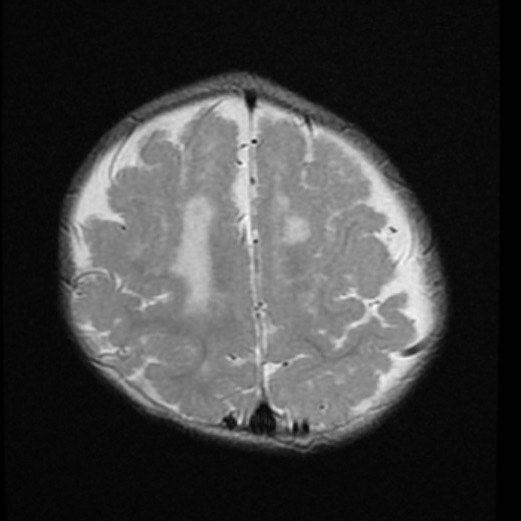 russianradiology в LOOKY — фото 8