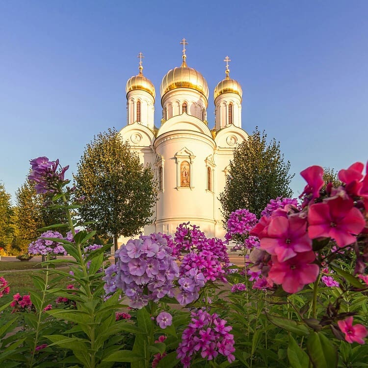 photo_mihalych в LOOKY — фото 2