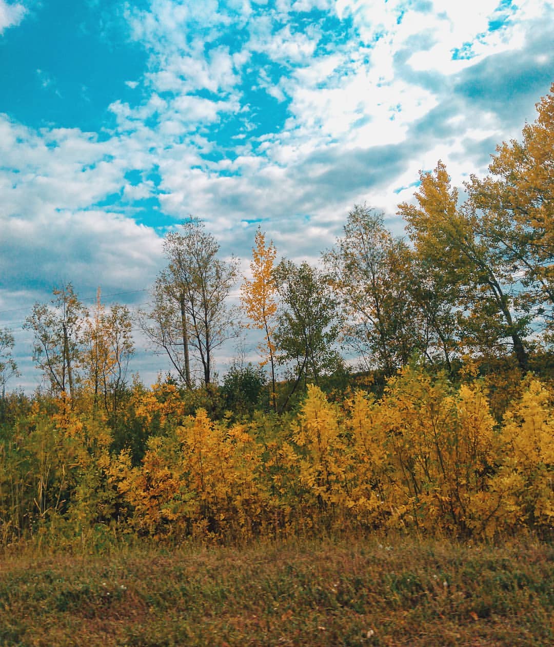 kuvshinka2107 в LOOKY — Иногда мы недооцениваем возможность всё это видеть

#nature 
