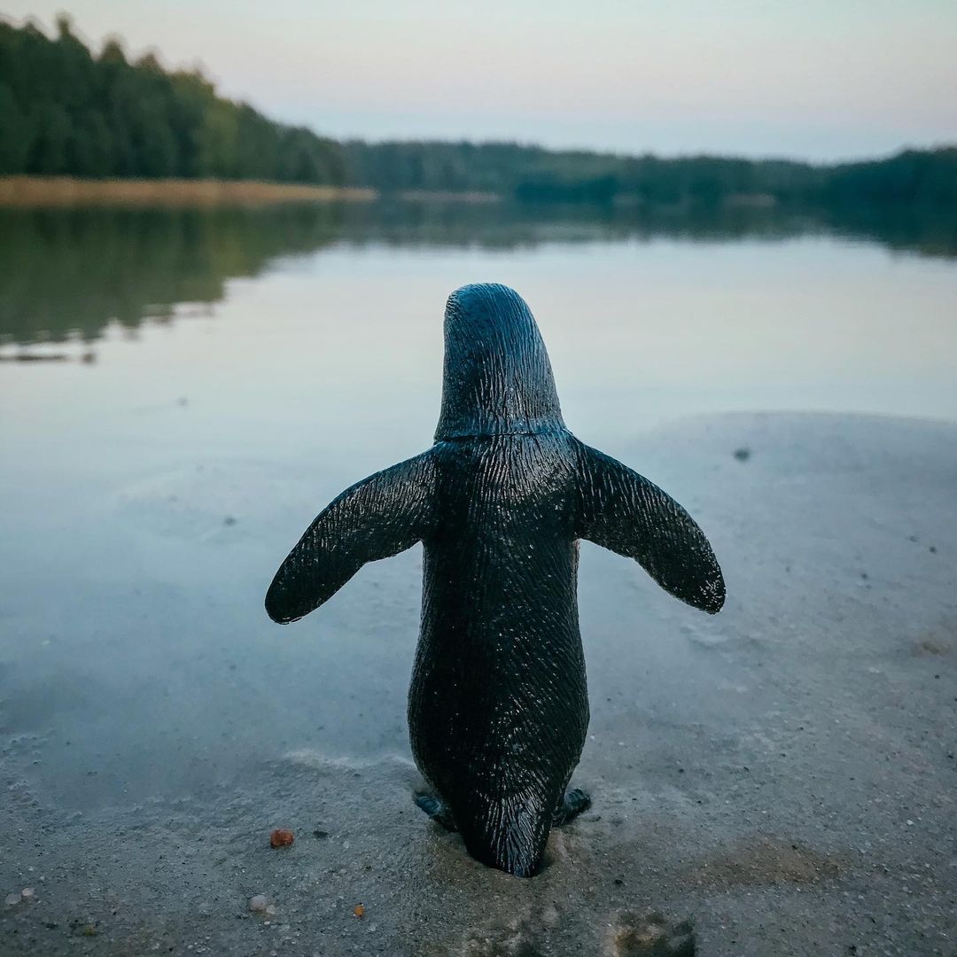 toys_pin in LOOKY. #миниатюры,#игрушки,#nature,#penguin,#love,#kids,#mytoy,#usa,#miniature,#swimming,#travel,#пингвины,#toy,#america,#road,#garage,#lake,#naturephotography,#naturelovers,#home,#shotoniphone7,#streetstyle,#streetphotography,#iphonography,#164scale,#,#mobilephotography,#shotoniphone. Одинокий пингвин. #м...