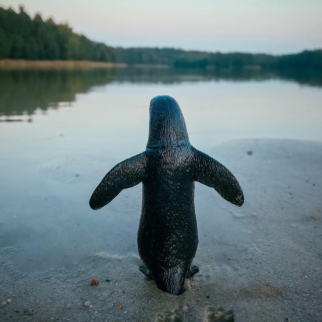 toys_pin в LOOKY. #миниатюры,#игрушки,#nature,#penguin,#love,#kids,#mytoy,#usa,#miniature,#swimming,#travel,#пингвины,#toy,#america,#road,#garage,#lake,#naturephotography,#naturelovers,#home,#shotoniphone7,#streetstyle,#streetphotography,#iphonography,#164scale,#,#mobilephotography,#shotoniphone. Одинокий пингвин. #м...