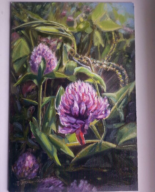 primakova.tanya.art в LOOKY. #цветымаслом#oilpainting#живописьмаслом#painting#natura#art#lmpressionism#oilflowers#маслянаяживопись. Холст на картоне, 20...