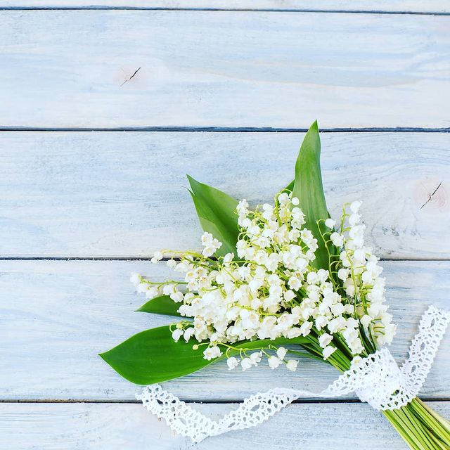 nelver25 в LOOKY. . 13 лет👰🤵💏👩‍❤️‍👨...