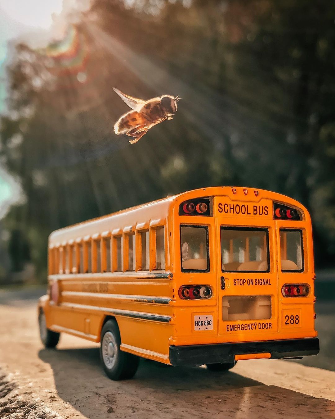 toys_pin in LOOKY. #hotwheels,#matchbox,#пчела,#bee,#bus,#car,#oldcar,#usa,#shoolbus,#orangebus,#travel,#sport,#toy,#america,#road,#garage,#автобус,#vw,#mobilephotography,#shotoniphone,#onlyiphone,#streetstyle,#streetphotography,#iphonography,#164scale,#mobilephoto,#miniature. Бывает и такое. Врод...