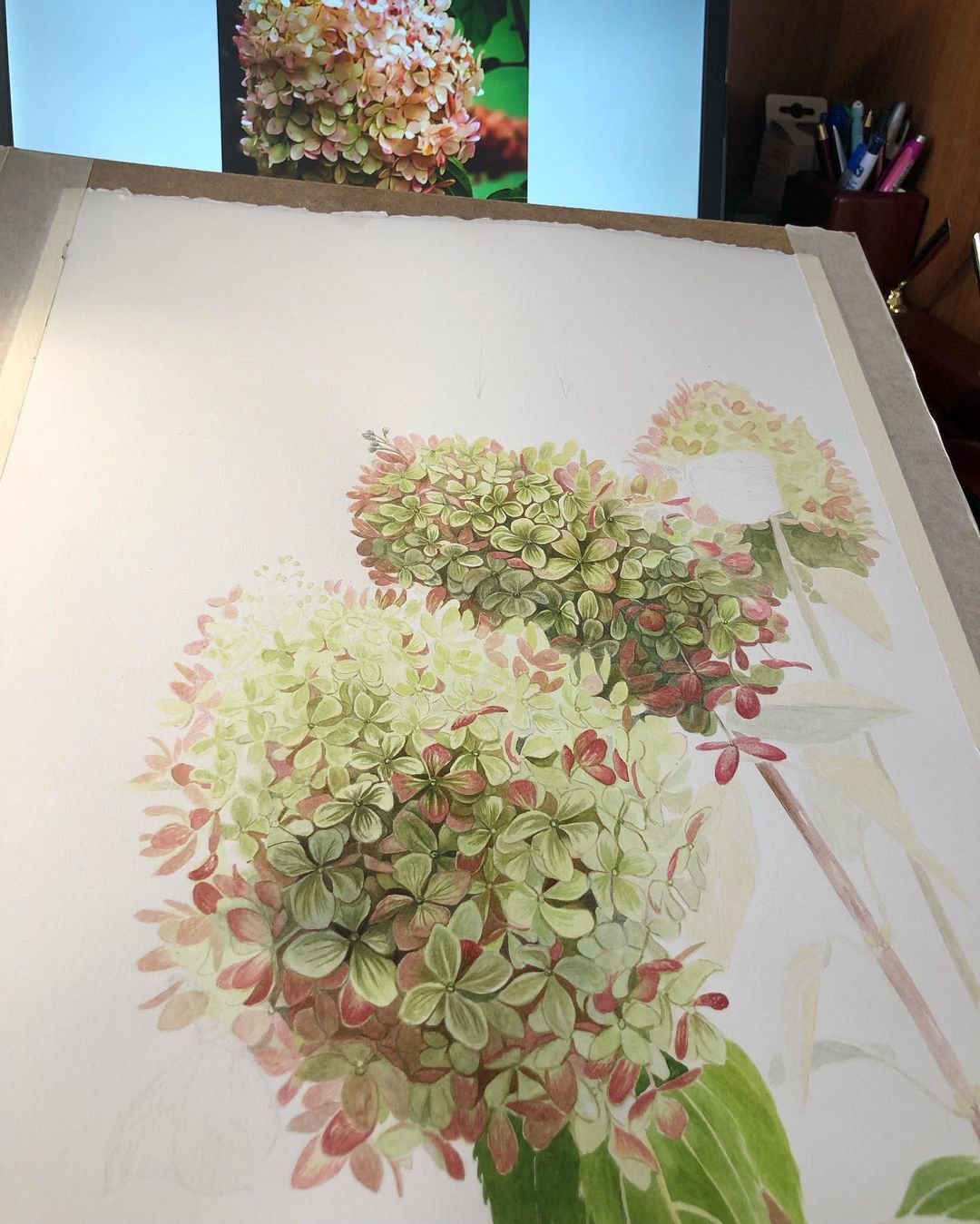 mariayarmish_botanicalart в LOOKY — публикация