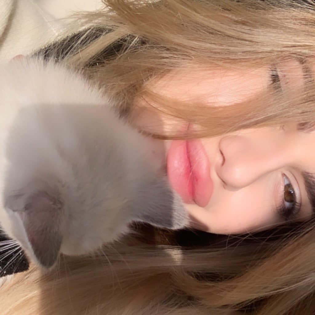 🧡