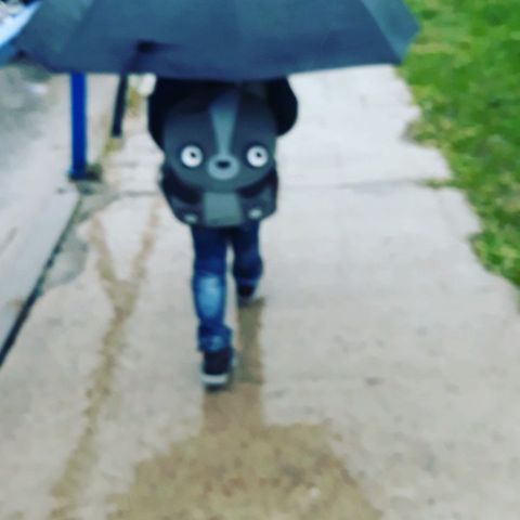 nailya_dhzumazova в LOOKY. . Мой маленький гриб и...