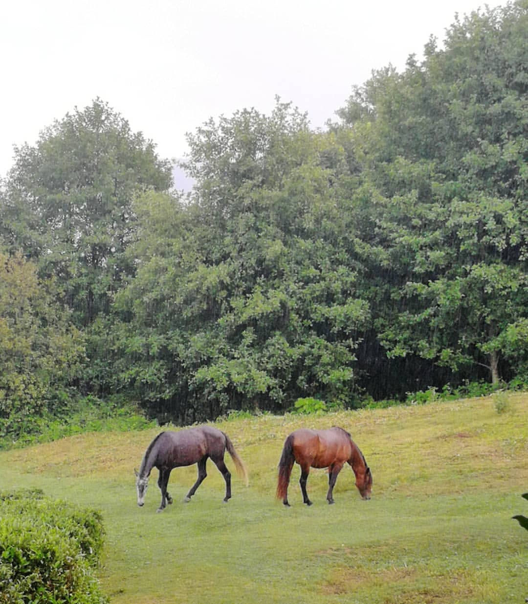 lisena812 в LOOKY — фото 8