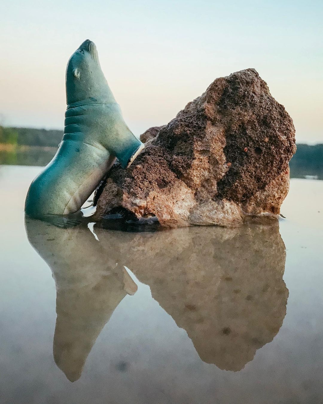 toys_pin in LOOKY. #миниатюры,#игрушки,#nature,#penguin,#love,#kids,#mytoy,#usa,#miniature,#swimming,#travel,#тюлень,#toy,#america,#seal,#garage,#lake,#naturephotography,#naturelovers,#home,#shotoniphone7,#streetstyle,#streetphotography,#iphonography,#164scale,#,#mobilephotography,#shotoniphone. Песню поёт. #миниатю...