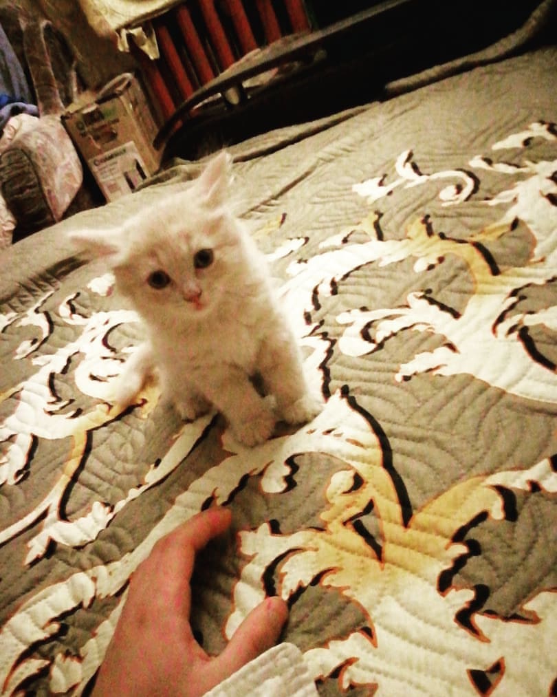 denisli3002 в LOOKY. #моядетина. #моядетина