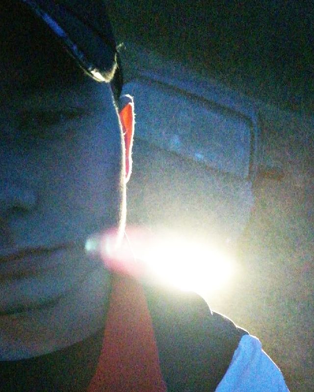 zy_el_mod в LOOKY. . ▪️Strange world▪️