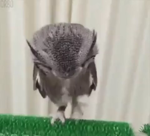 kittyeremina в LOOKY. . Коротко обо мне когд...
