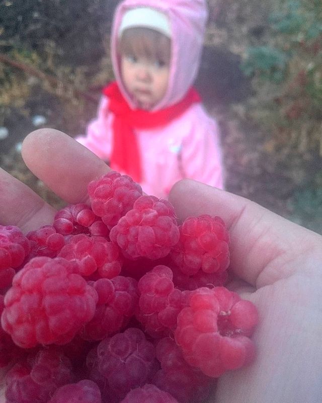 marina_ktn в LOOKY. #летонеуходи#осеньнаступилавырослакапуста#прогулка#младшенькая#ксксксюня#Белгород#малина,#сентябрь,#ягодамалина. Остатки лета на ладо...