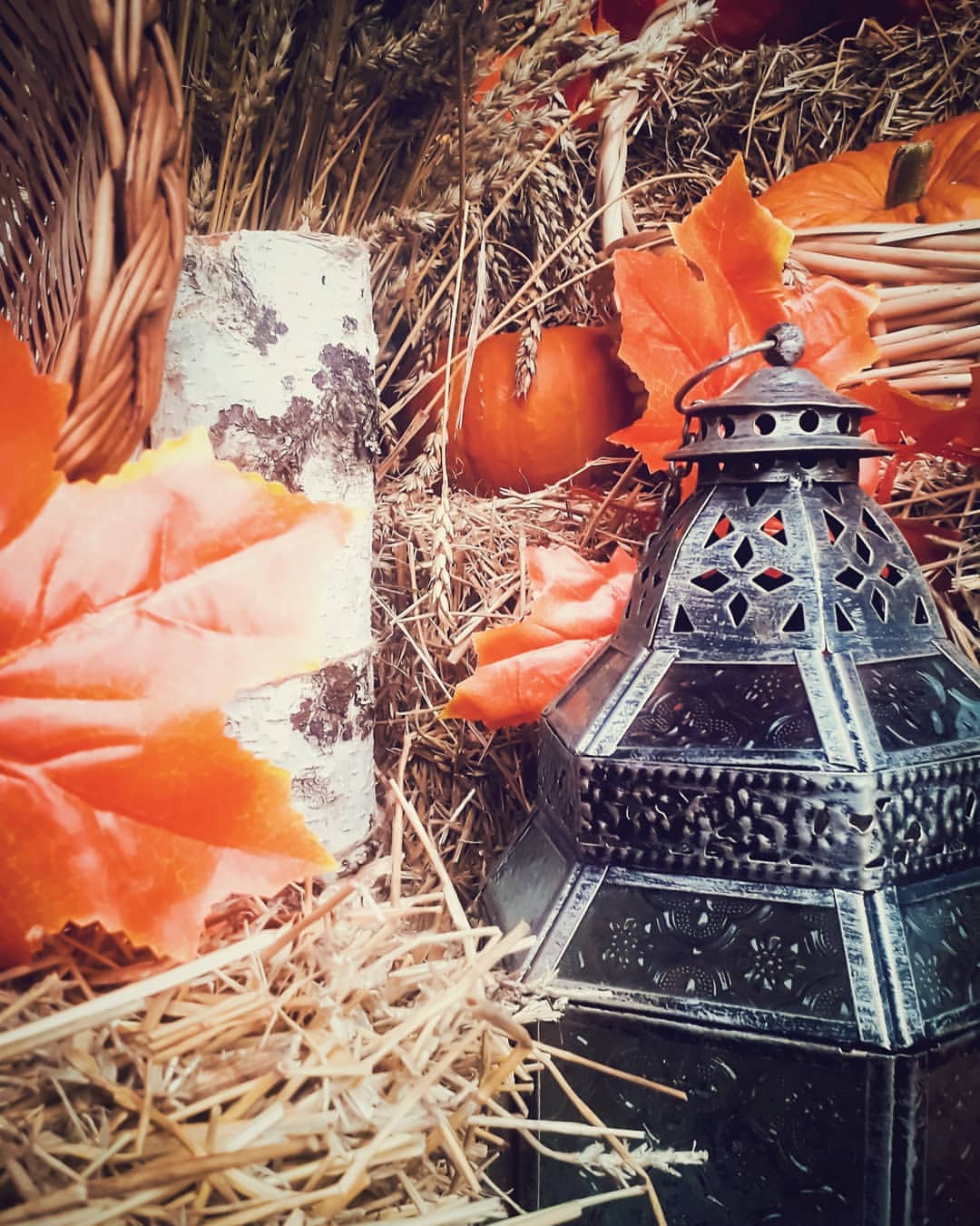 nasyadutova in LOOKY. #russia,#happy,#beautiful,#cute,#love,#landscape,#ilovekrsk,#krsk,#taiga,#naturehappy,#likeforliиkes,#liketime,#sity,#urban,#autumn,#evening,#wildlife,#nature,#bookstagram,#natgeo,#natgeotravel,#travel,#красноярск,#like4likes,#likeforlike,#likesforlikes. .
.
.
.
.
.
.
.
.
#s...