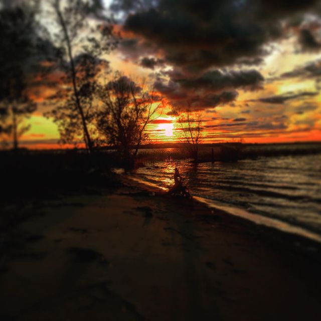 in5tame в LOOKY. #autumn#summer#nature#lastwarmdays. #autumn#summer#natur...