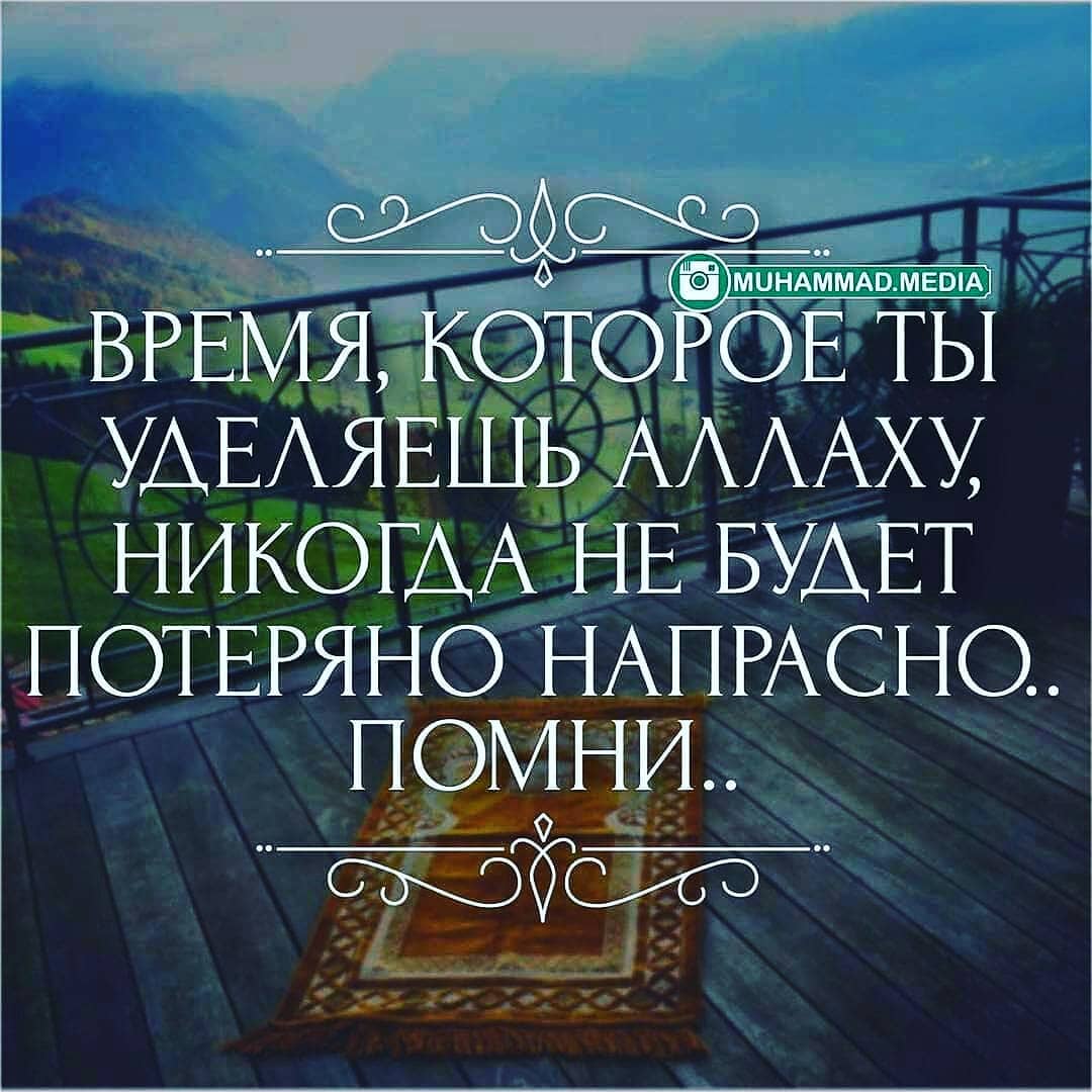 anvar_hojiboboev в LOOKY. . null