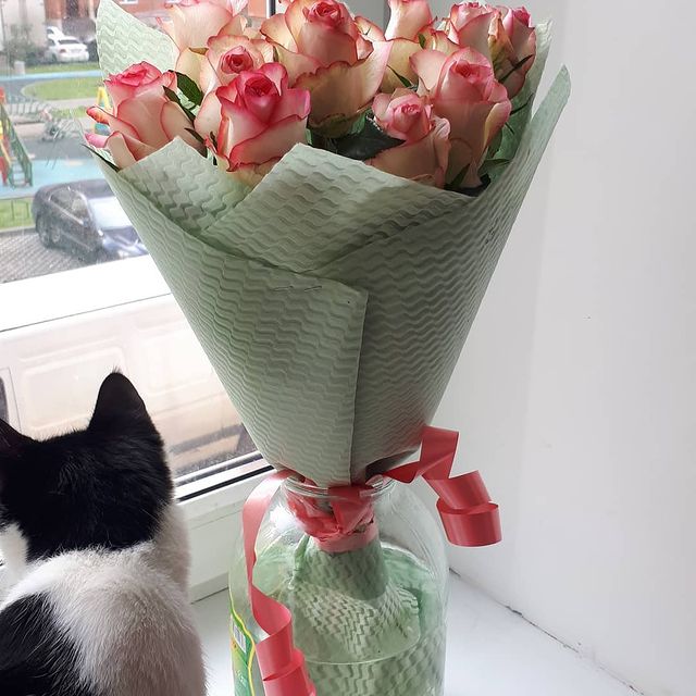 natashik.milashik в LOOKY. #мама_тоже. Всегда приятно получ...