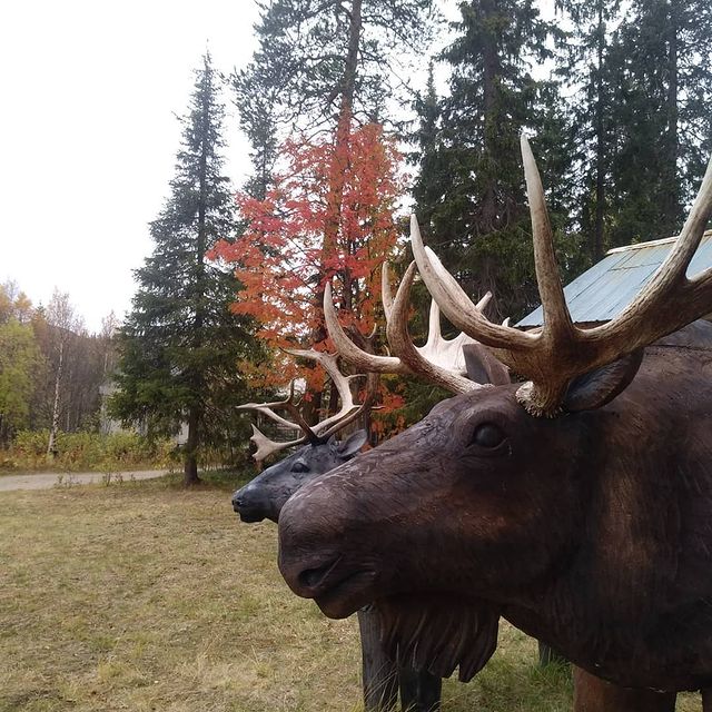 anuta.o в LOOKY. #КрасотыСевера,#осень. #КрасотыСевера#осень...